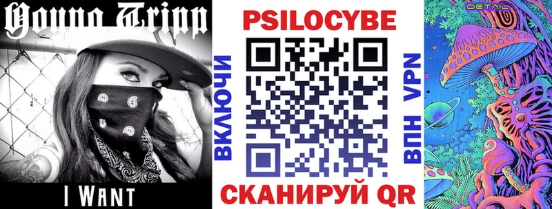 где купить наркотик  ОМГ ОМГ как зайти  Псилоцибиновые грибы Psilocybine cubensis  Махачкала 